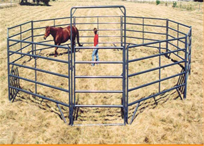 Recinto Per Cavalli E Altri Animali