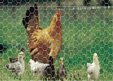 Porcellana La rete metallica esagonale saldata ad alta resistenza, PVC ha ricoperto la rete metallica verde del pollo fornitore
