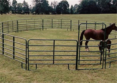 Porcellana recinti per bestiame portatili del cavallo di altezza di 2.7m, pannelli del recinto per bestiame del cavallo galvanizzati forte struttura fornitore