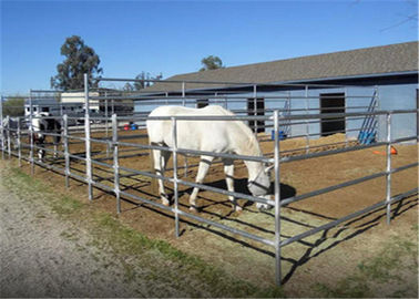 Porcellana Il bestiame personale all'aperto che recinta i pannelli/bestiame riveste il portone di pannelli del recinto fornitore