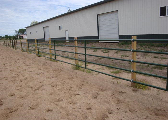 Zinco che spruzza i pannelli leggeri del recinto per bestiame, pannelli resistenti del recinto per bestiame del bestiame di 1.8m×2.1m